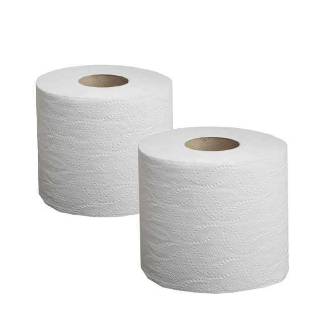 48 Rolls Premium 100%bamboo Toilet Paper - Master Roll