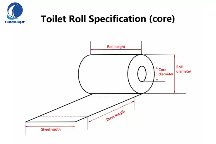 Toilet Paper Roll Dimensions (Size Chart Included)