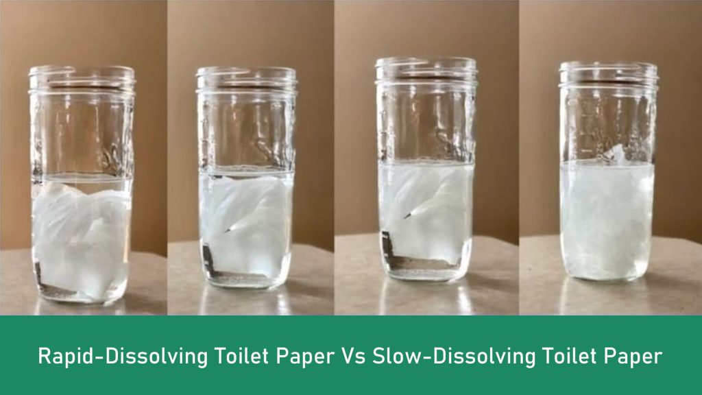 Rapid-Dissolving Toilet Paper Vs Slow-Dissolving Toilet Paper