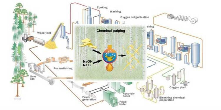 chemical-pulping