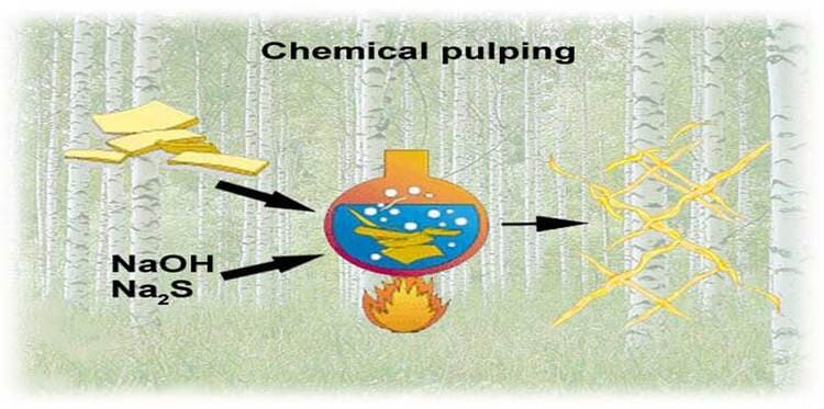 paper pulping is the process of separating the fibers in the plant fiber raw material to obtain pulp