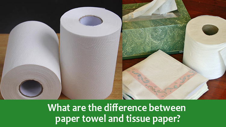 What are the difference between paper towel and tissue paper?