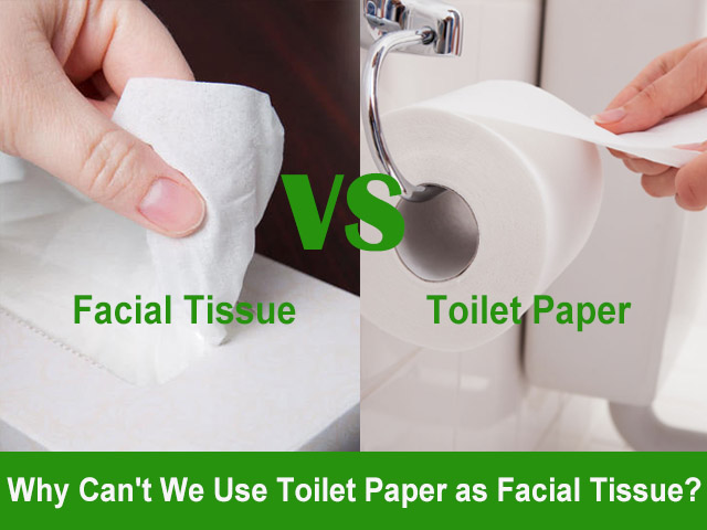 Why We Can't Use Toilet Paper as Facial Tissue