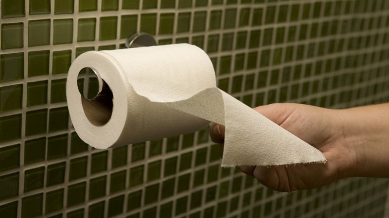 bathroom hand towel paper for hand drying
