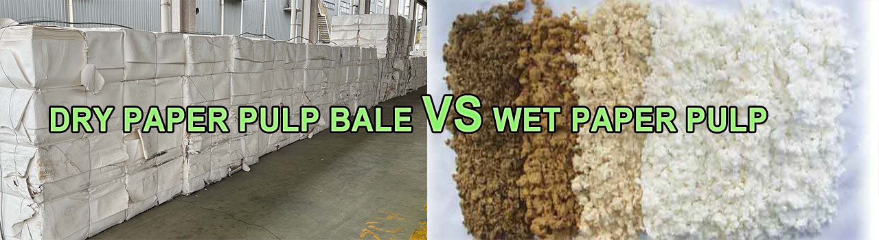 dry paper pulp bale vs wet paper pulp..