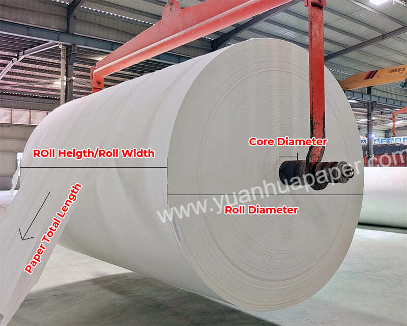 tissue parent reels size