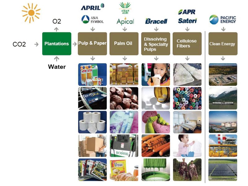 asia symbol tissue jumbo roll