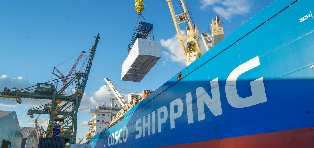 brazil's pulp exports to china hit a new record high