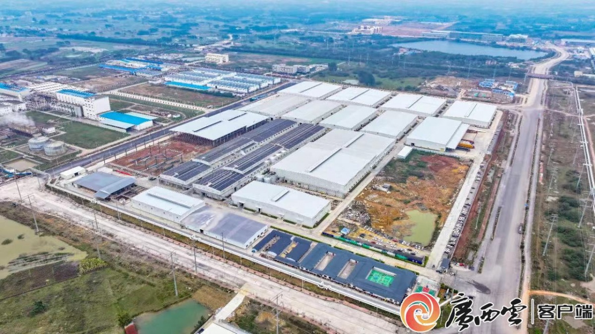 china asean household paper industrial park