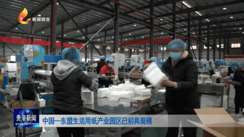china asean living paper industrial park (1)