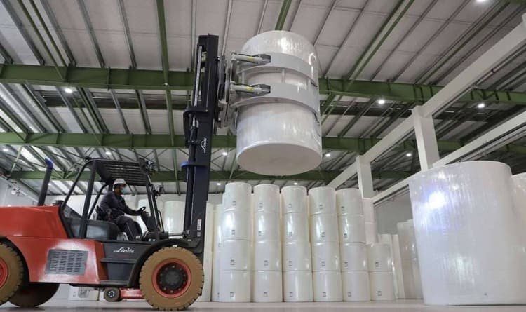 tissue jumbo roll for tissue paper converting 2