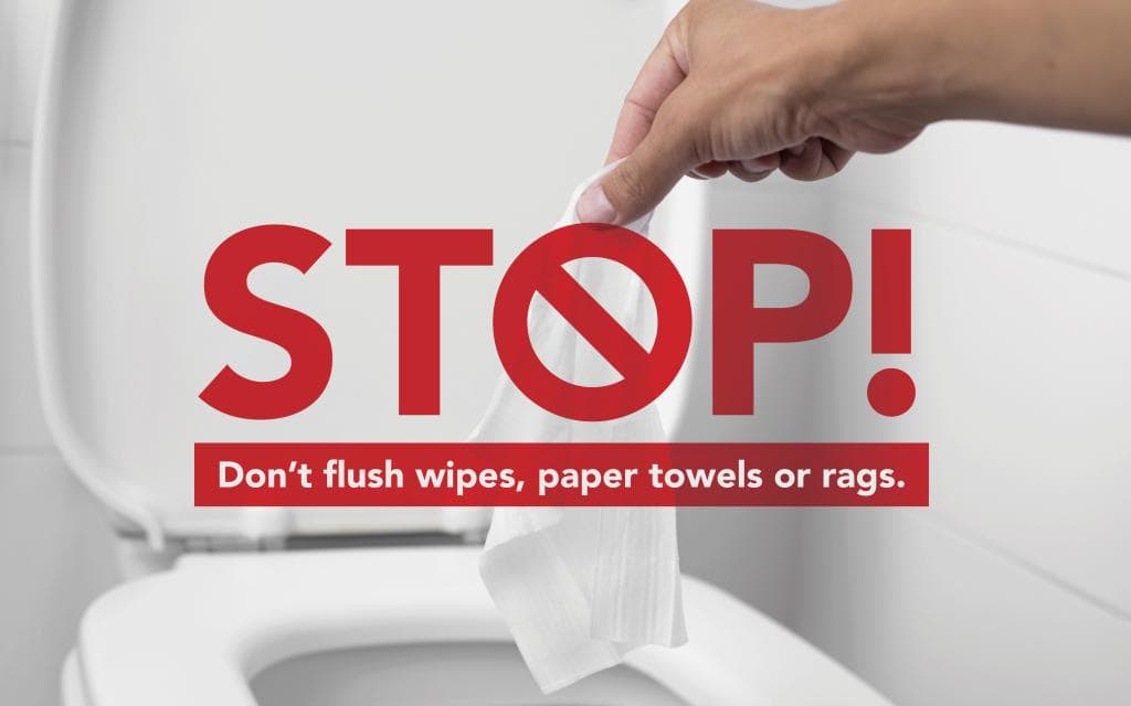 don't flush paper towels