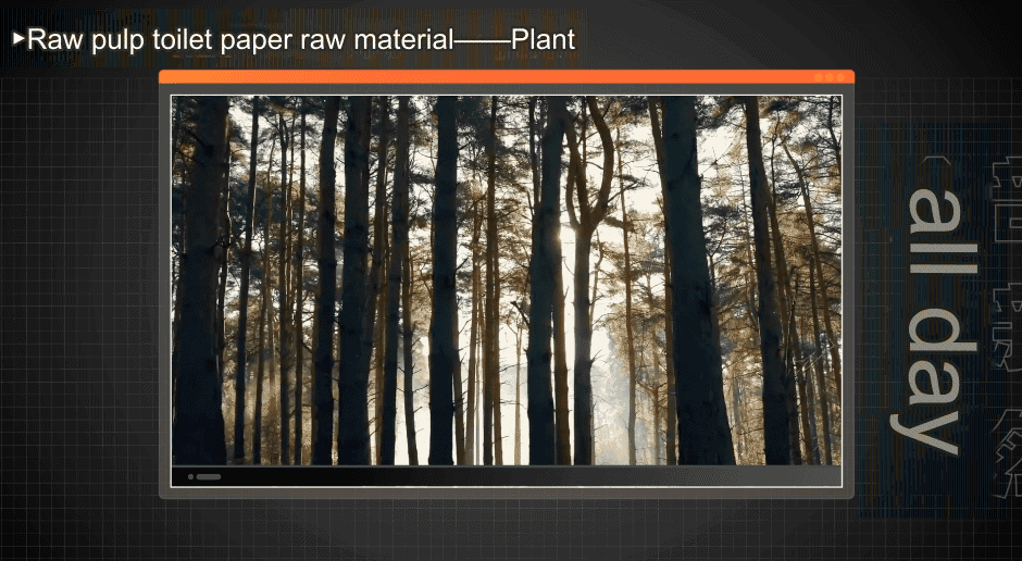 tissue paper raw materials (5)