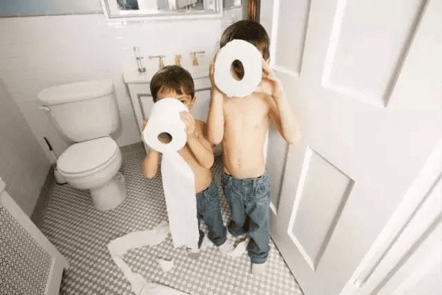 virgin wood toilet tissue paper