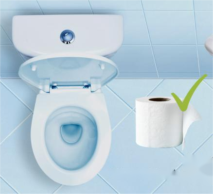 flush toilet paper roll