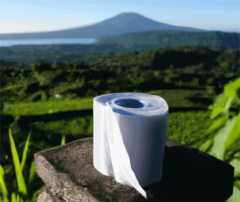 does bali use toilet paper