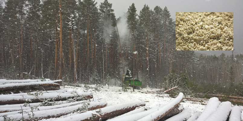 analysis of russian wood pulp cnbm paper pulp plant