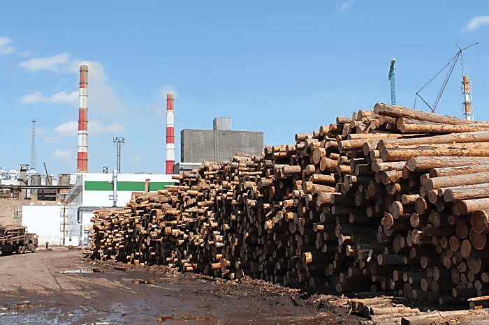 russian pulp business is still delivering for international paper (1)