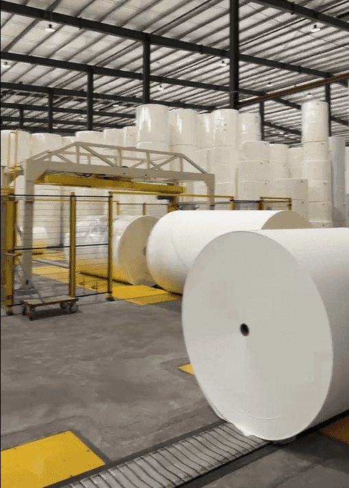 toilet tissue jumbo rolls for converting (2)